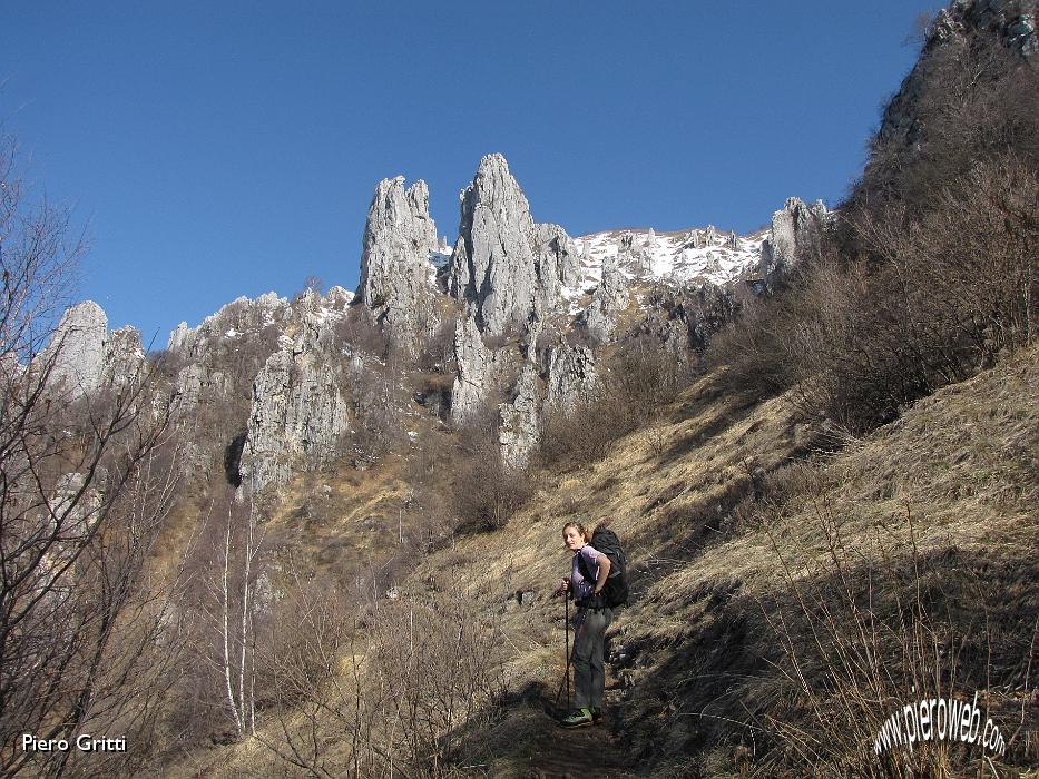 17 Finisce il bosco....jpg